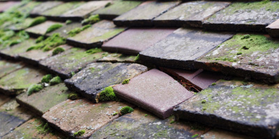 Llanfaethlu roof repair costs